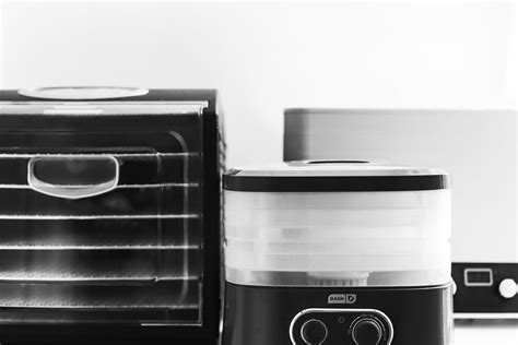 fruits dehydrator machine|The 2 Best Food Dehydrators of 2024, Tested & Reviewed .